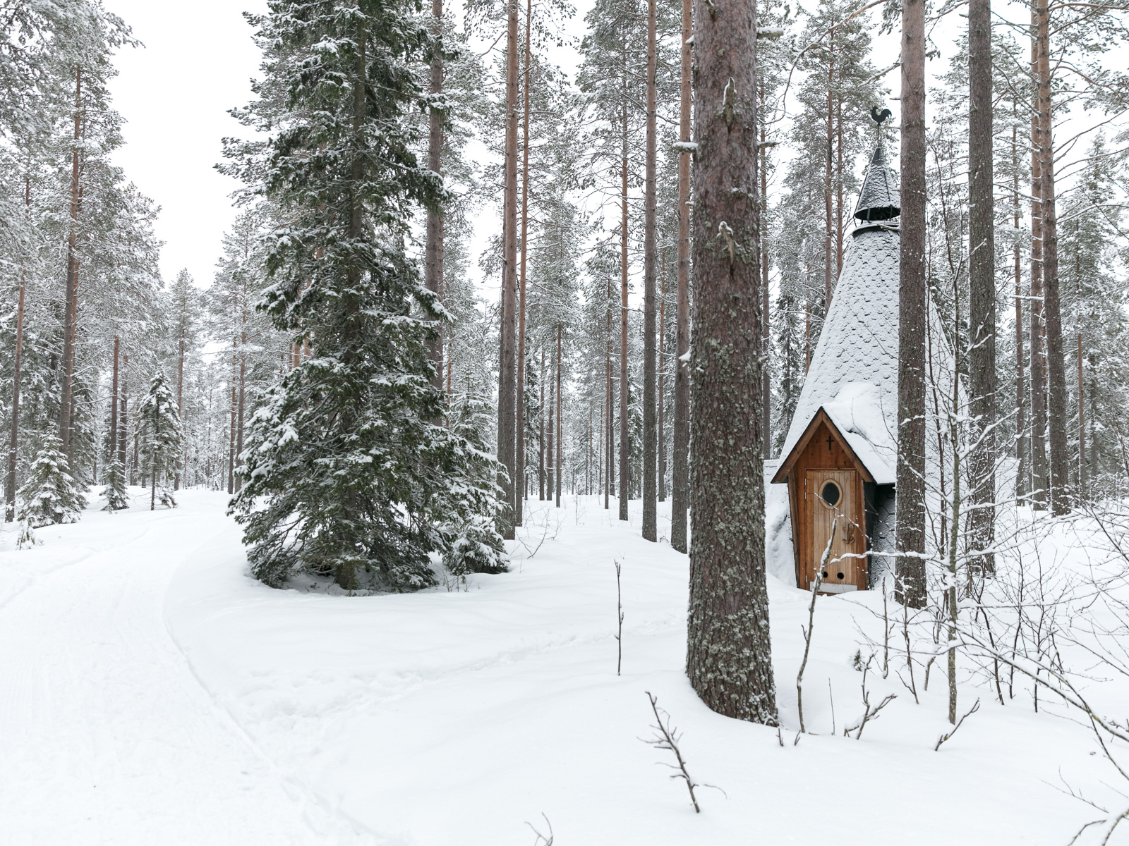 Old_pine_husky_lodge_lapponia_finlandia-11