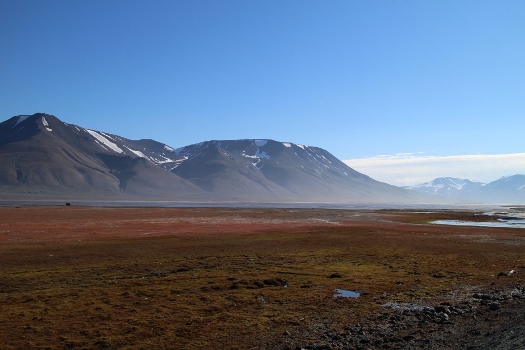 Viaggi di Gruppo  from-adventdalen-late-summer-1024x683 [CONCLUSO] 26 Giugno-3 Luglio 2022. La Natura del Polo Nord (Norvegia)