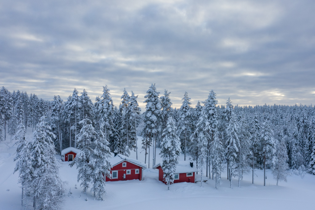 Viaggi di Gruppo  DJI_0278 23-28 Dicembre 2021. NATALE IN LAPPONIA CON GLI HUSKY (Finlandia)