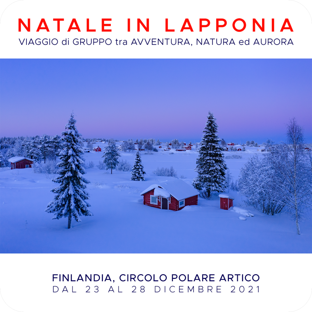 Viaggi di Gruppo  Natale21_Q_01-1-1024x1024 23-28 Dicembre 2021. NATALE IN LAPPONIA CON GLI HUSKY (Finlandia)