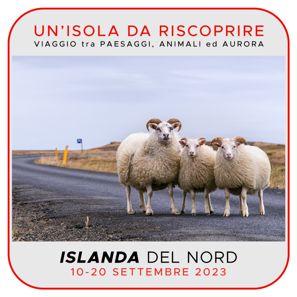 Viaggi di Gruppo  Islanda2023_QQ_02-1024x1024 10-20 SETTEMBRE 2023. UN'ISOLA DA RISCOPRIRE (ISLANDA)